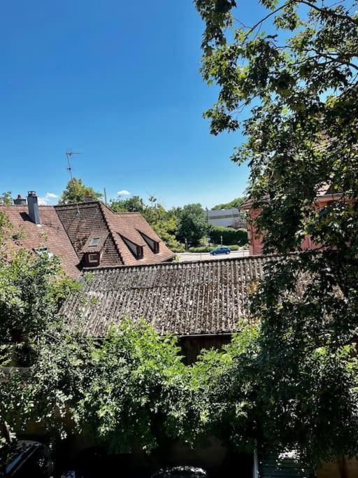 Appartement De Charme Alsacien, Centre Historique Selestat Bagian luar foto