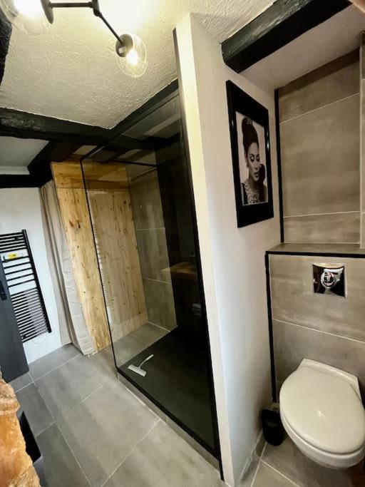 Appartement De Charme Alsacien, Centre Historique Selestat Bagian luar foto