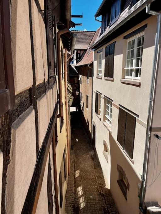 Appartement De Charme Alsacien, Centre Historique Selestat Bagian luar foto